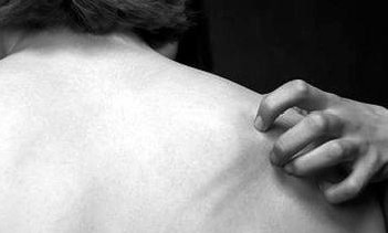 Ƥ����������