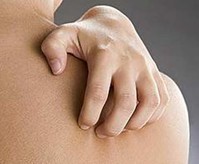 ����Ƥ����������