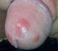 ÷�����߿��Թ���������