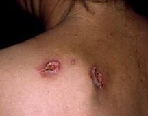 ÷������в��������