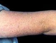 ���������۲������Ʒ���