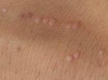 Ѱ�����������Ʒ���