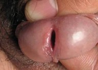 �ܲ���������ѭ��ԭ��