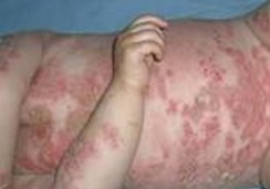 �ϲ�ţƤѢ�����