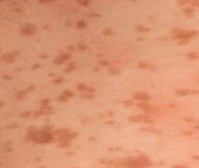 ɫ����ݡ����