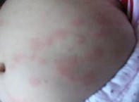 ������ݡ������������ز���֢