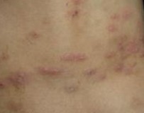 ������ݡ���Ⱦ��