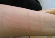 ������ݡ���������