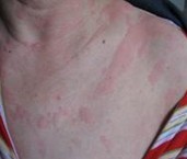 �������ݡ�������Ʒ���