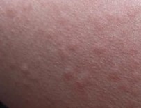 ��������ݡ�����Σ��