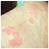 ݡ����˳Ե�ʳ��