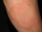 Ϊʲô�ᷢ��ݡ����