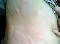 ��Щԭ�������ݡ����