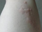 ���Ԥ�����ܲ���ݡ���������