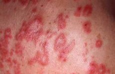 ���ϳ������ʲô��