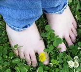 ��ͯԤ���׹���������Щ����?