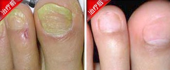 �׹���������Ʒ���