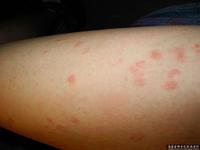 õ�忷���ѧ�������ı�