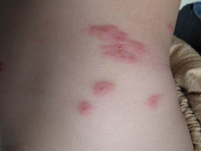 ������ݡ��������