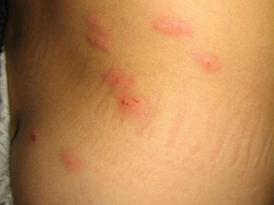 ������ݡ��������