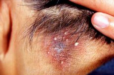 ͷ�ϳ�����ë������,������?