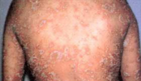 ����ţƤѢȥ�����