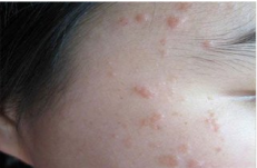 ��ƽ��ԭ�򼰱�������Щ?